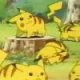 Wild's Pikachu