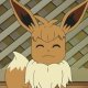 Lana's Eevee