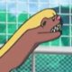 Special/Other Trainers's Yungoos