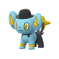 Shinx