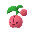 Cherubi