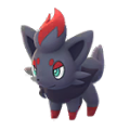Zorua