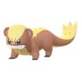 Yungoos