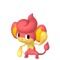 Pansear Image